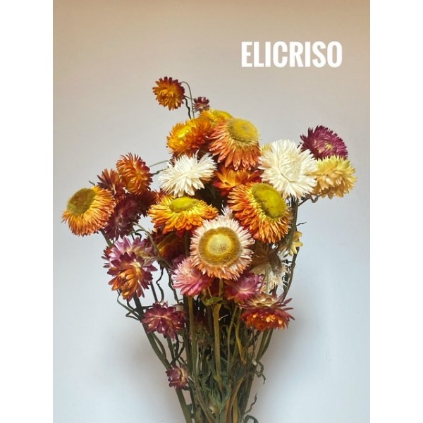 Mazzo di 11 Steli di Elleboro e fiori di Campo Realistici